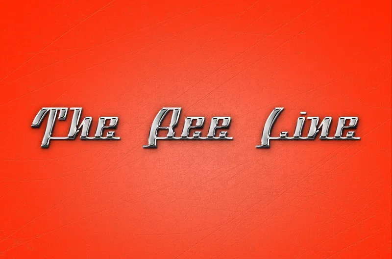 BTX The Bee Line author illustration