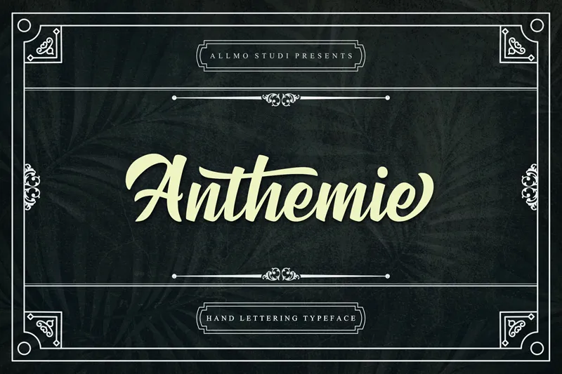 Anthemie author illustration