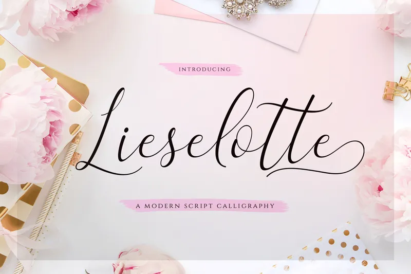 Lieselotte author illustration