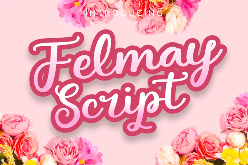 Felmay Script author illustration