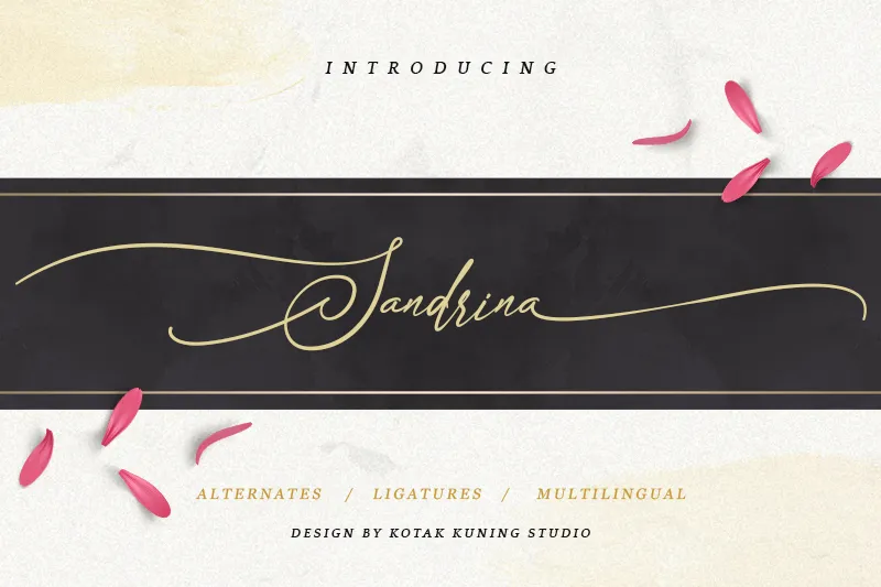 Sandrina author illustration