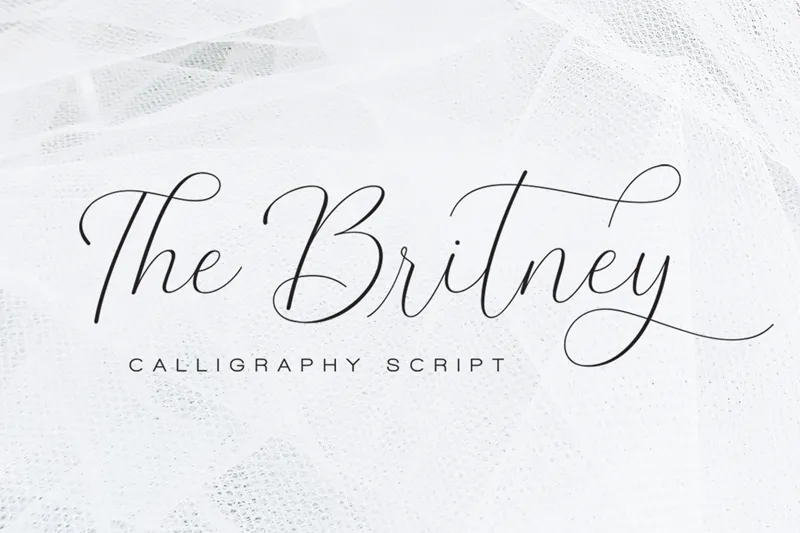 The Britney author illustration