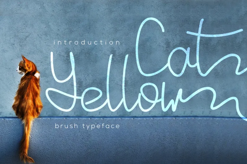 Yellow Cat author illustration