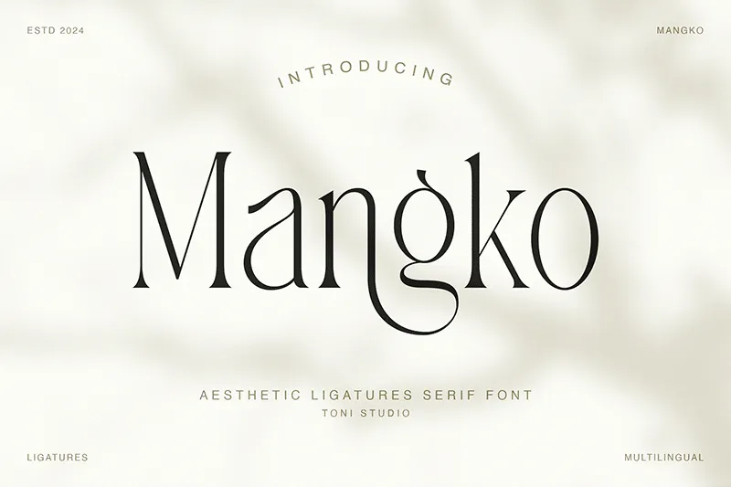 Mangko author illustration