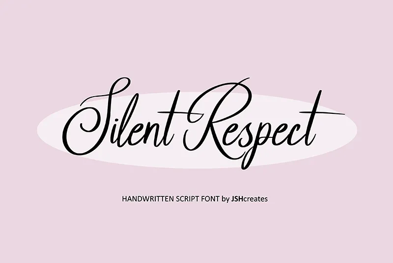 Silent Respect author illustration