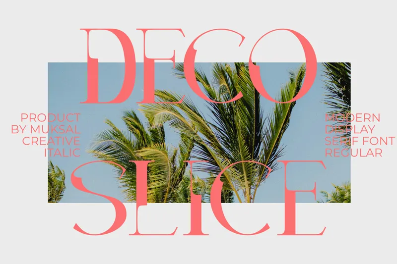 Decoslice author illustration