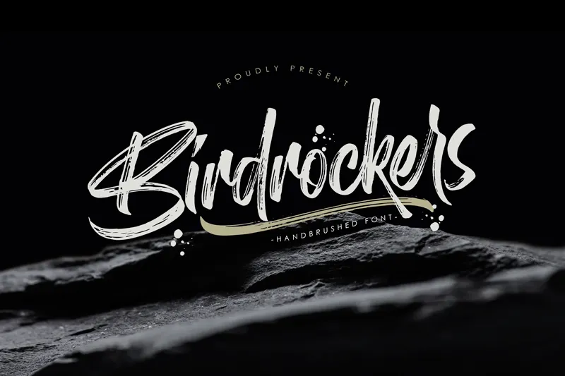 Birdrockers author illustration