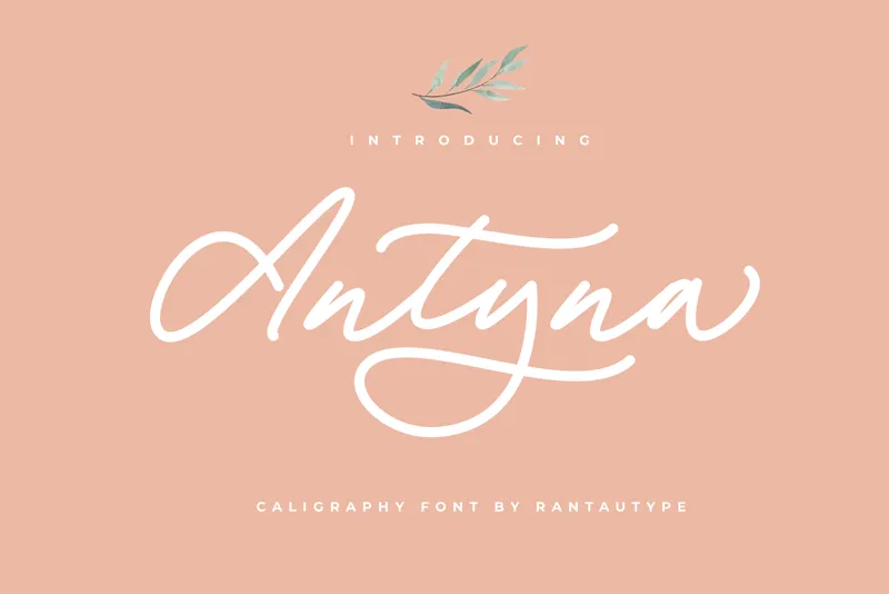 Antyna author illustration