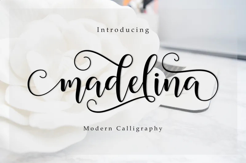Madelina author illustration
