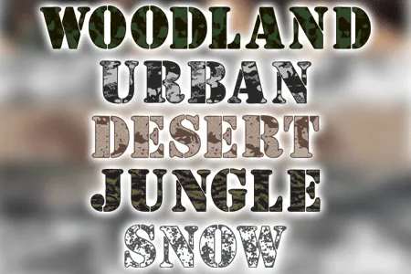 Camouflage author illustration