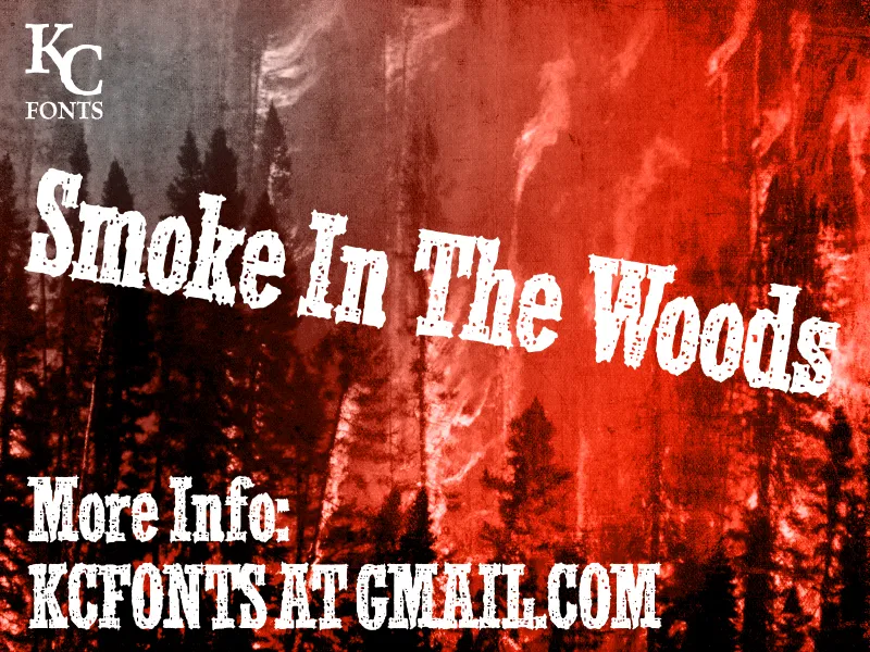 Smoke In The Woods author illustration