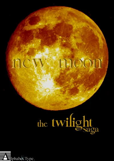 Twilight New Moon author illustration