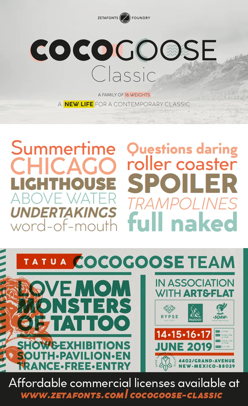 Cocogoose Classic author illustration