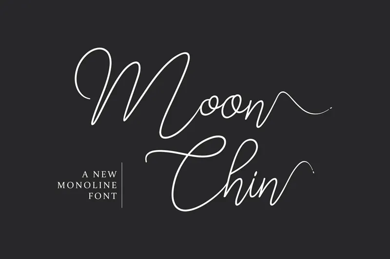 Moon Chin author illustration