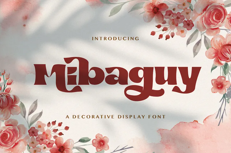 Mibaguy author illustration