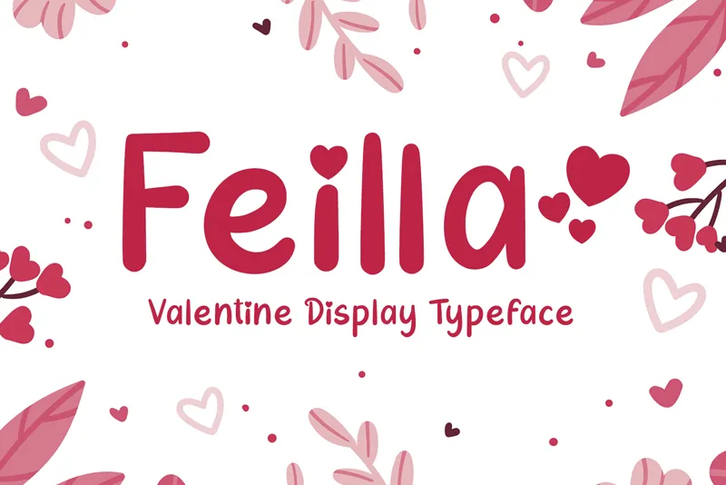 Feilla author illustration