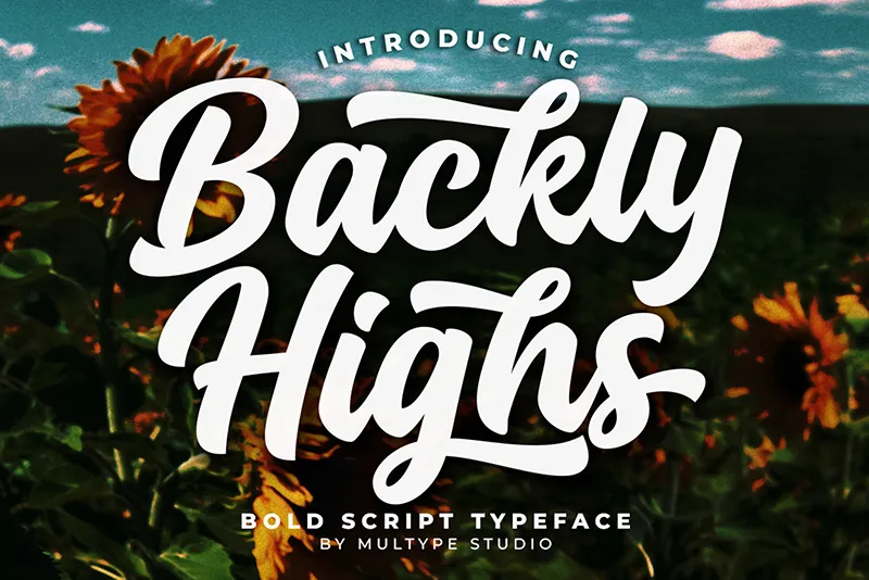 Backly Highs author illustration