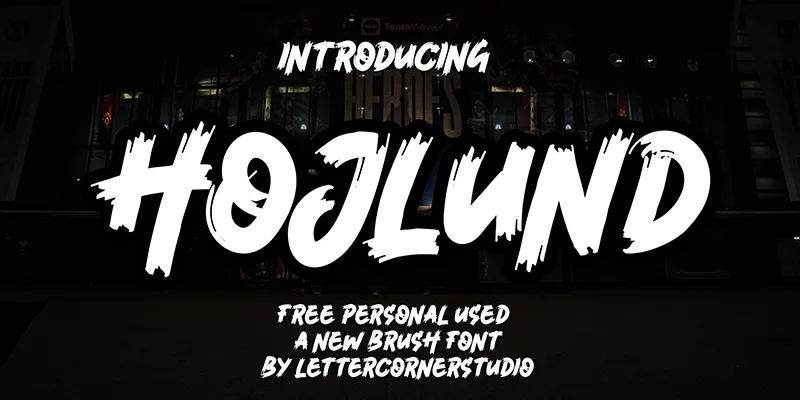 Hojlund author illustration