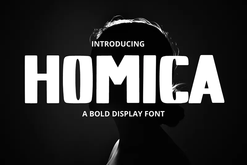 Homica author illustration