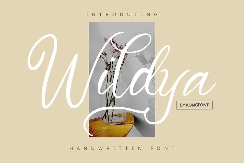 Wildya author illustration
