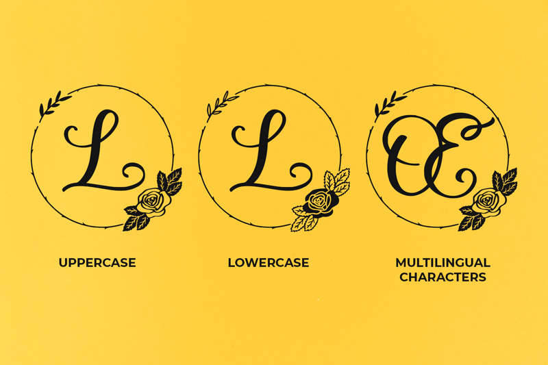 Rosegram author illustration