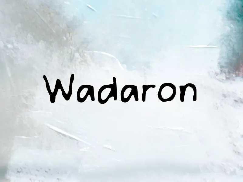 Wadaron author illustration