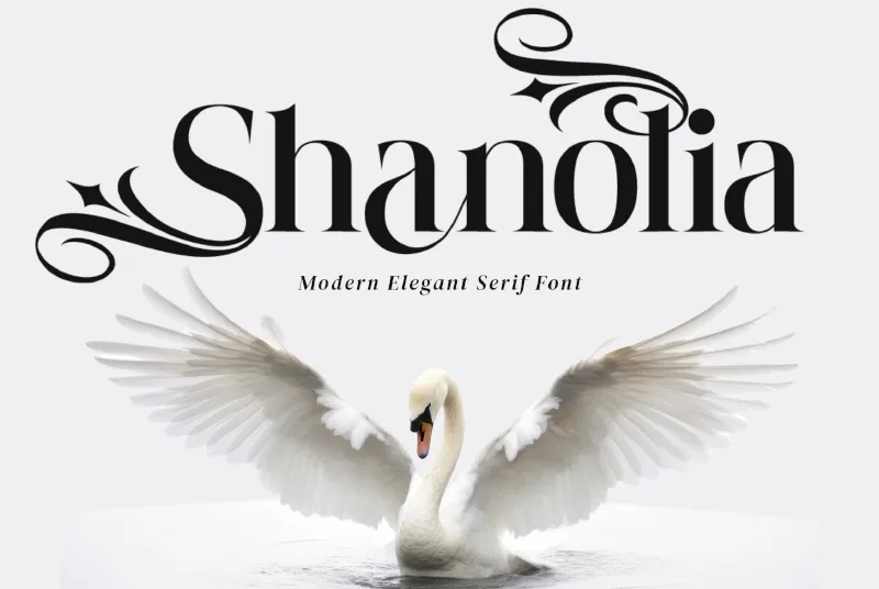 Shanolia author illustration