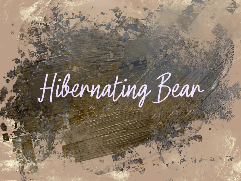 h Hibernating Bear author illustration