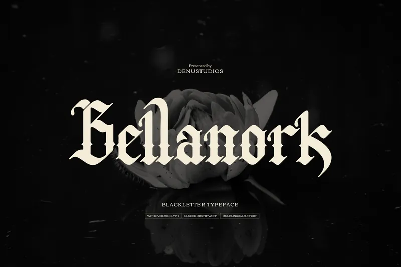 Bellanork author illustration
