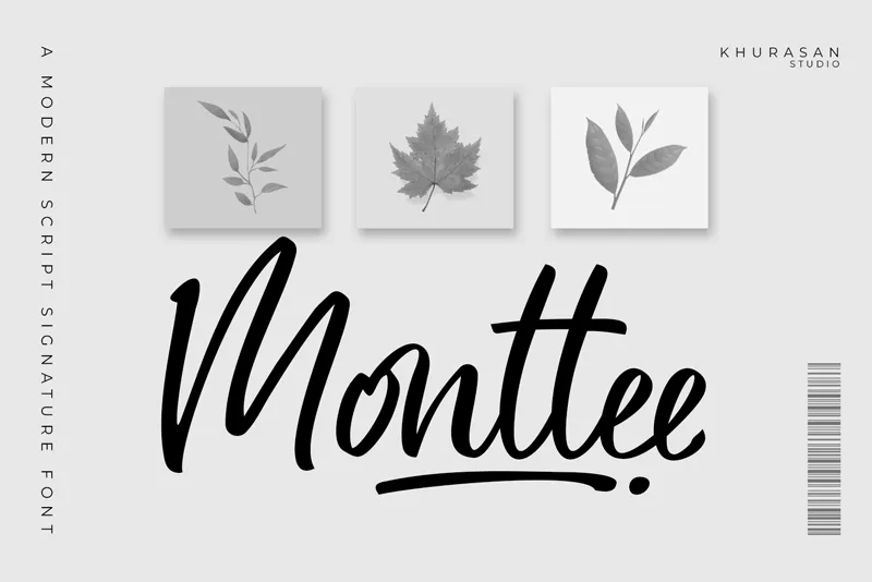 Monttee author illustration