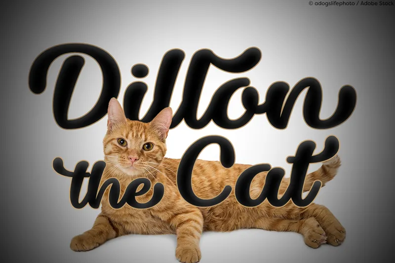 Dillon the Cat author illustration
