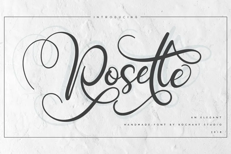 Rosette author illustration