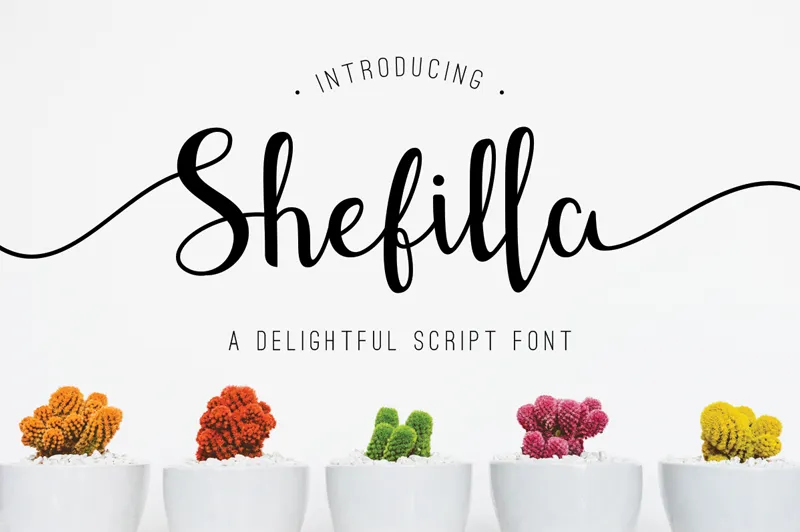 Shefilla author illustration