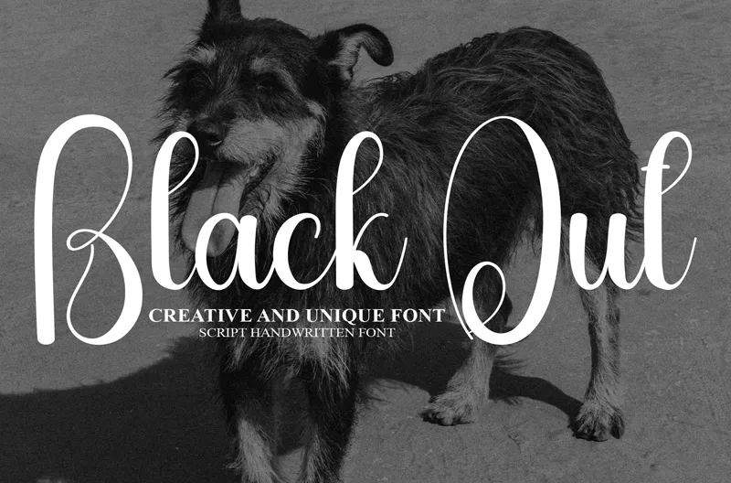 Black Out author illustration