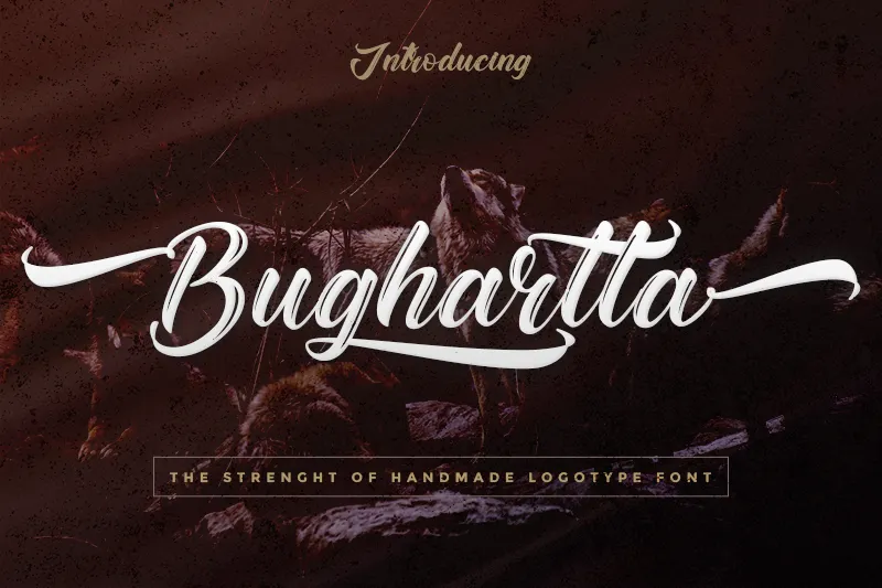 Bughartta author illustration