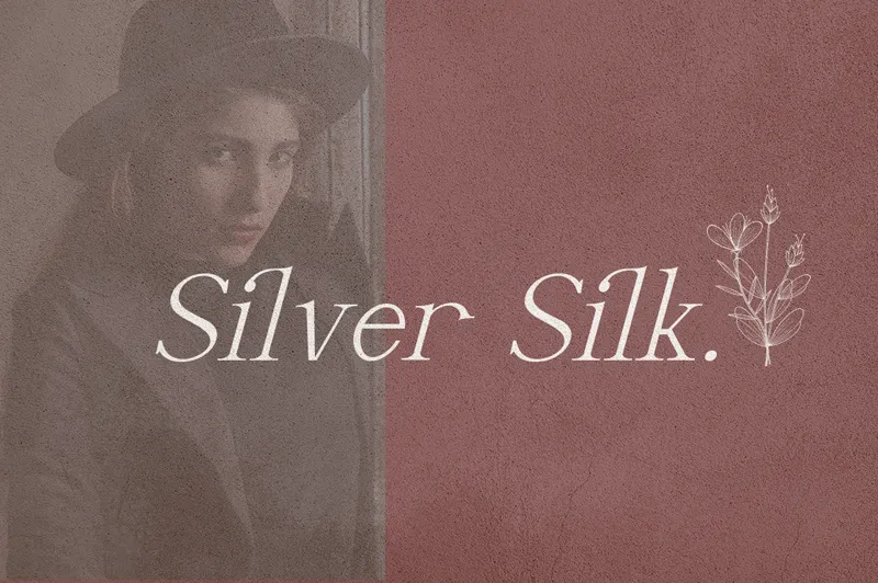 Silver Silk author illustration
