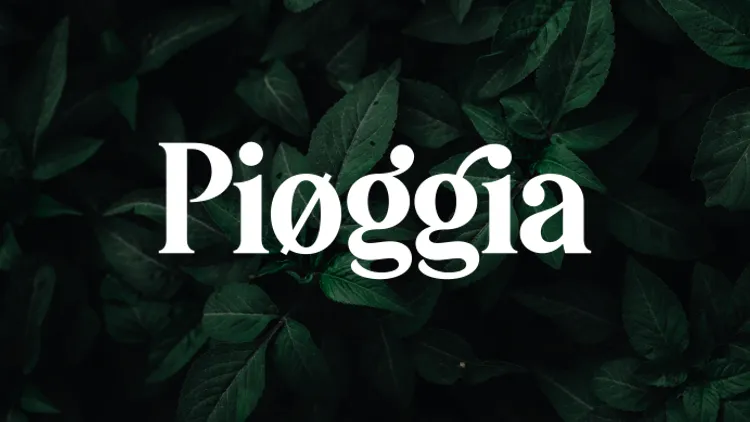 Pioggia author illustration