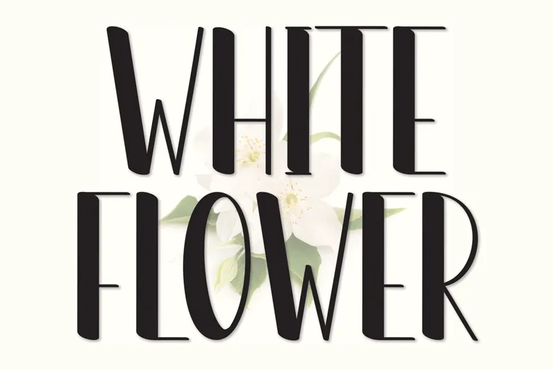 White Flower author illustration