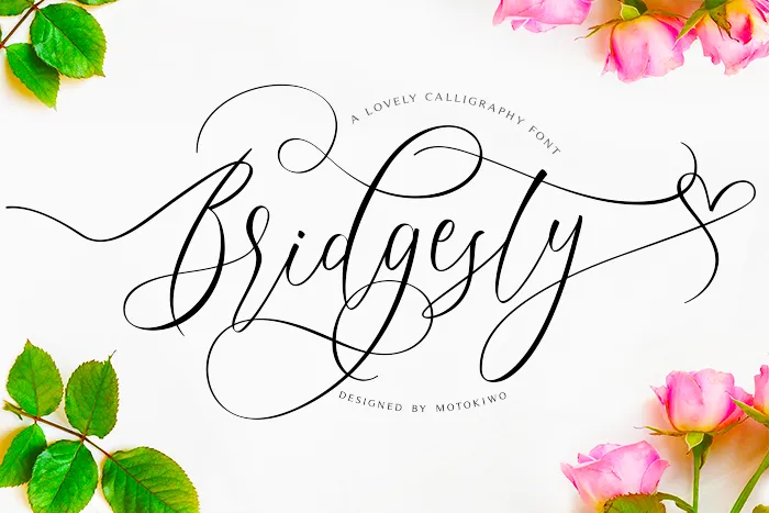 Bridgesty author illustration