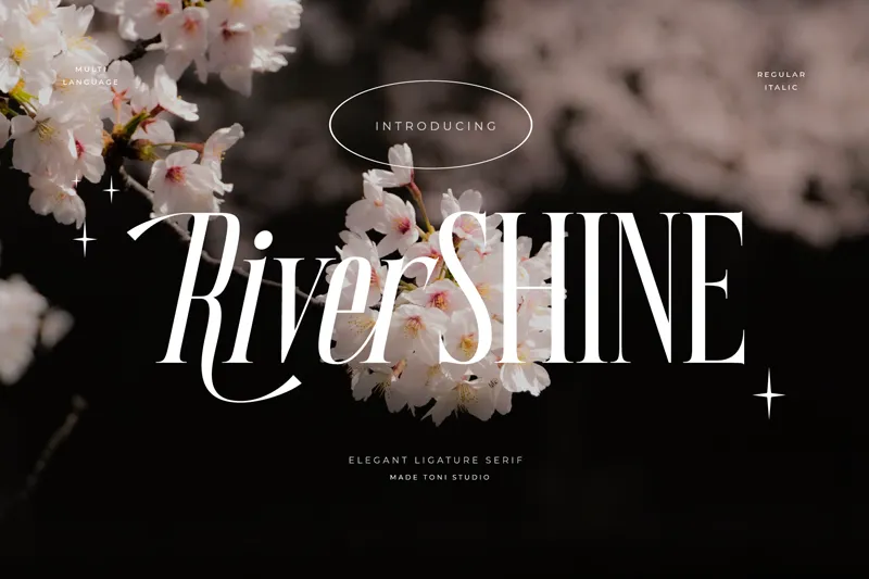 River Shine author illustration