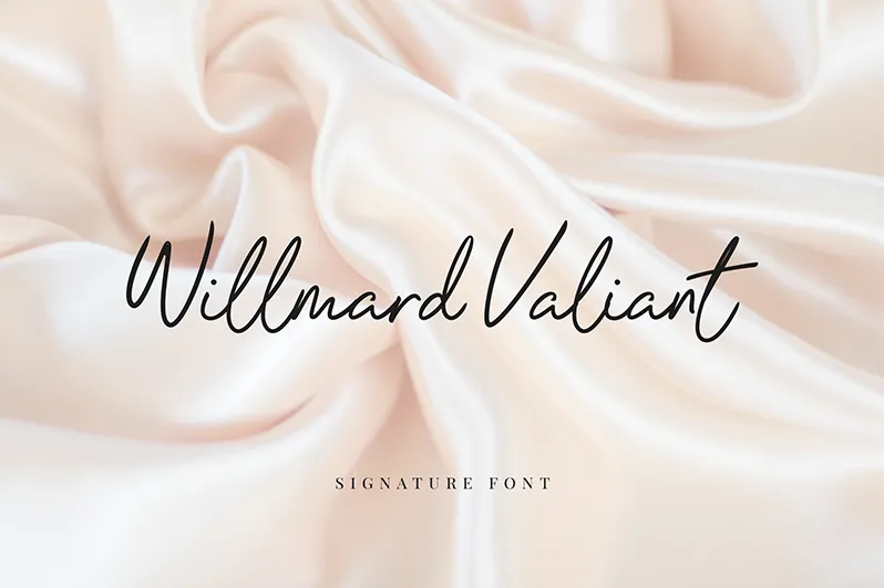 Willmard Valiant Script author illustration