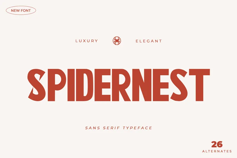 Spider Nest author illustration