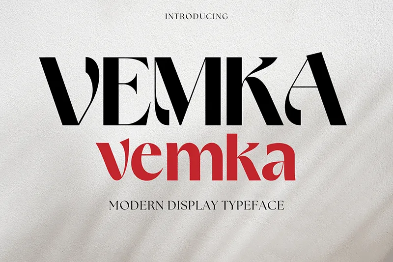 Vemka author illustration