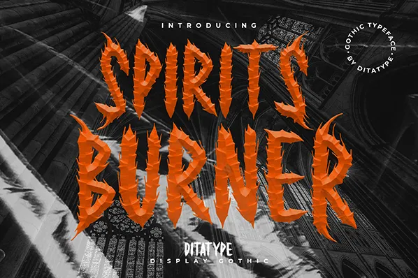 Spirits Burner author illustration