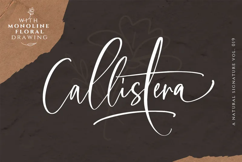 Callistera Script author illustration