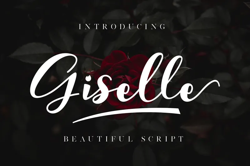 Giselle author illustration