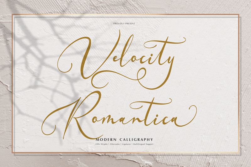 Velocity Romantica author illustration