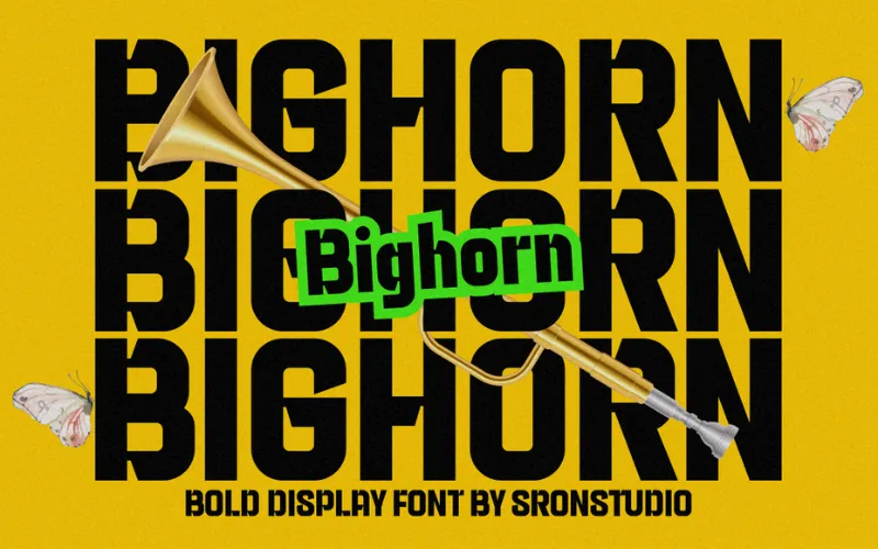 Bighorn author illustration