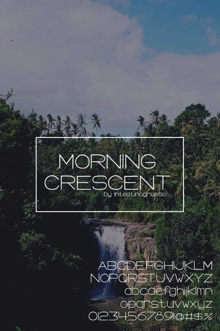 Morning Crescent author illustration