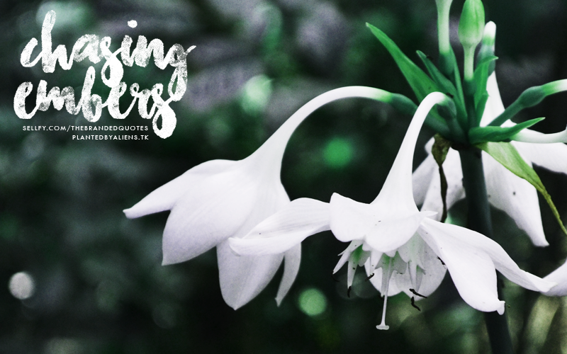 Chasing Embers author illustration